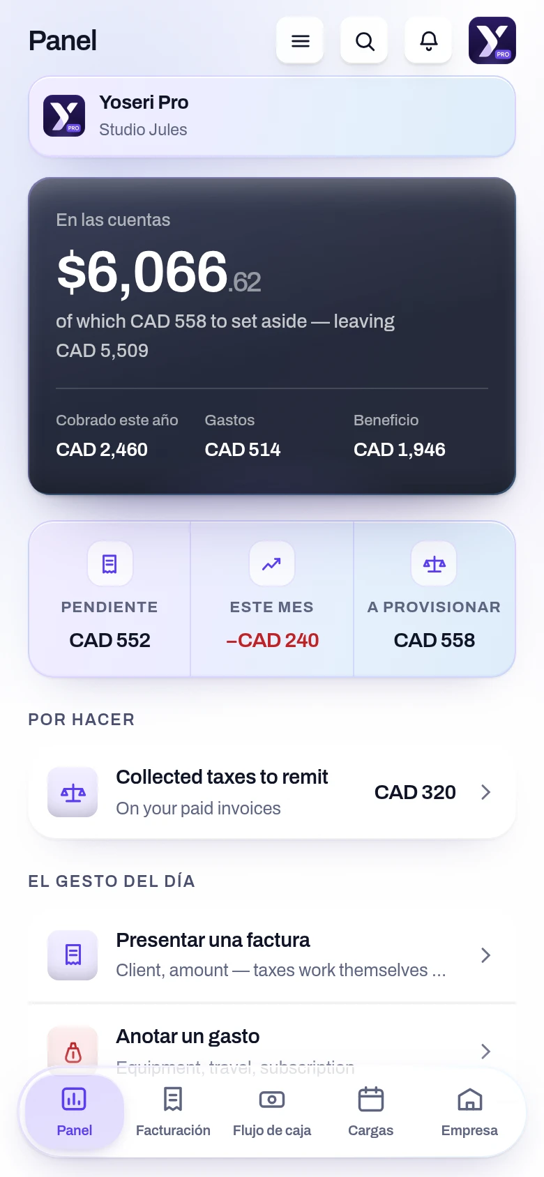 Captura de la pantalla Panel Pro de la aplicación Yoseri. El saldo de las cuentas de la empresa, lo que queda tras apartar las provisiones, lo cobrado, los gastos y el beneficio del año, y los impuestos percibidos por remitir.