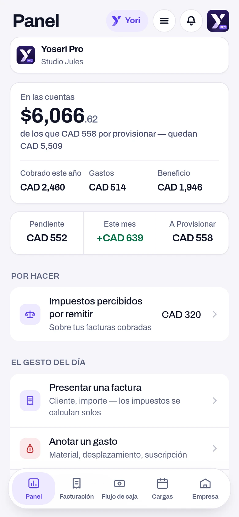 Captura de la pantalla Panel Pro de la aplicación Yoseri. El saldo de las cuentas de la empresa, lo que queda tras apartar las provisiones, lo cobrado, los gastos y el beneficio del año, y los impuestos percibidos por remitir.